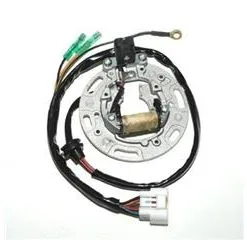 Bihr Stator ELECTROSPORT Kawasaki KX85/KX100