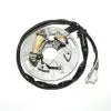 Bihr Stator ELECTROSPORT Yamaha WR250Z/YZ250