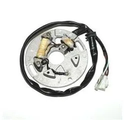 Bihr Stator ELECTROSPORT Yamaha WR250Z/YZ250