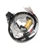 Bihr Stator ELECTROSPORT Kawasaki KX80/KX100