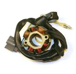 Bihr Stator ELECTROSPORT Avec Bobine D'éclairage Kawasaki KX250F/Suzuki RM-Z250