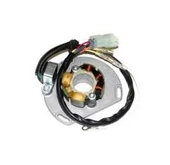 Bihr Stator ELECTROSPORT Avec Bobine D'éclairage KTM SX125/144/150/250