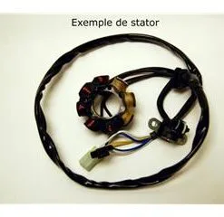 Bihr Stator ELECTROSPORT Suzuki RM125/250