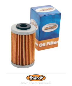 Bihr Filtre à Huile Twin Air